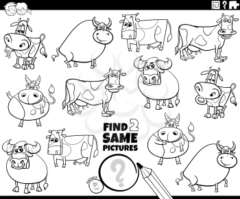 Black and white cartoon illustration of finding two same pictures educational game with cows and bulls cattle farm animals characters coloring book page