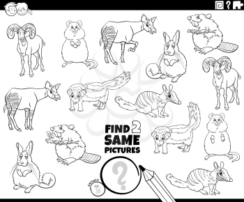 Black and white cartoon illustration of finding two same pictures educational game with comic wild animals characters coloring book page
