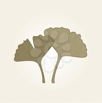 Hand - drawn Gingko herbs on old paper. Vector Illustration