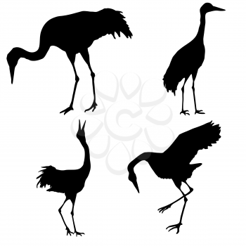 Royalty Free Clipart Image of Crane Silhouettes