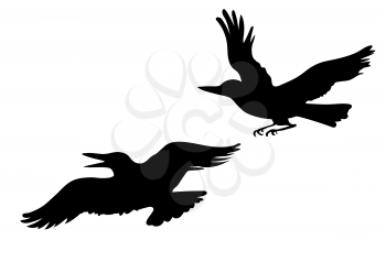 Royalty Free Clipart Image of Two Ravens