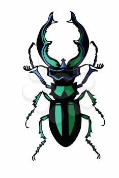 Royalty Free Clipart Image of a Bug