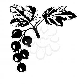 Royalty Free Clipart Image of Currant Berries