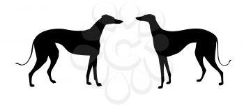 Royalty Free Clipart Image of Greyhounds