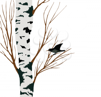 Royalty Free Clipart Image of a Bird in a Birch Tree