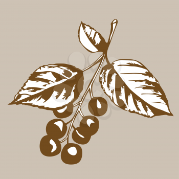 Royalty Free Clipart Image of a Berry Branch