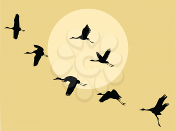 Royalty Free Clipart Image of Birds Flying