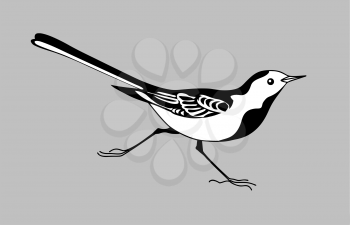 Royalty Free Clipart Image of a Wagtail 