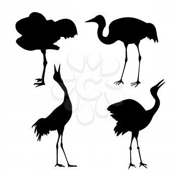 Royalty Free Clipart Image of Cranes