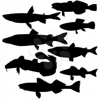 Royalty Free Clipart Image of Fish Silhouettes