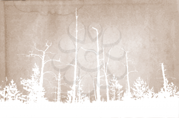 Royalty Free Clipart Image of a Forest Background
