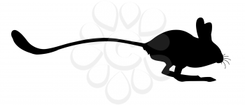 Royalty Free Clipart Image of a Jerboa