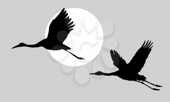 Royalty Free Clipart Image of Flying Cranes