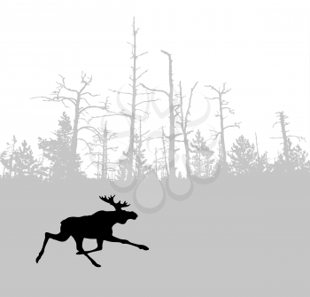 Royalty Free Clipart Image of a Moose in a Forest