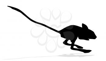 Royalty Free Clipart Image of a Jerboa