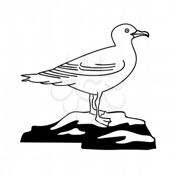 Royalty Free Clipart Image of a Seagull