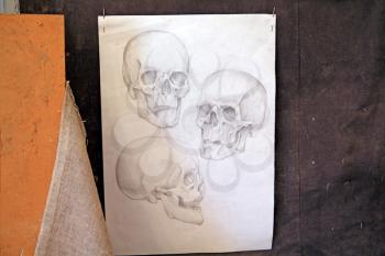 skull drawing on grunge background