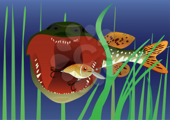 Royalty Free Clipart Image of a Pike Catching a Smaller Fish