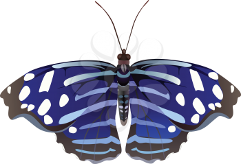Abstract exotic butterfly, file EPS.8 illustration.