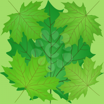 Green leaves of the maple, seamless pattern, file EPS.8 illustration.