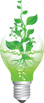 Royalty Free Clipart Image of a Plant Bursting From a Broken Light Bulb