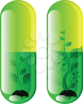 Royalty Free Clipart Image of Two Capsules With Green Plants Inside