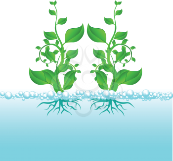 Royalty Free Clipart Image of Plants Shooting From Water