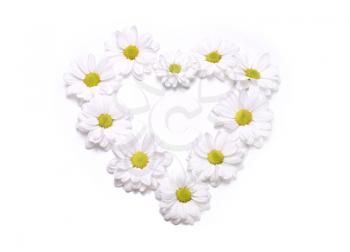 white camomile heart shape frame on white