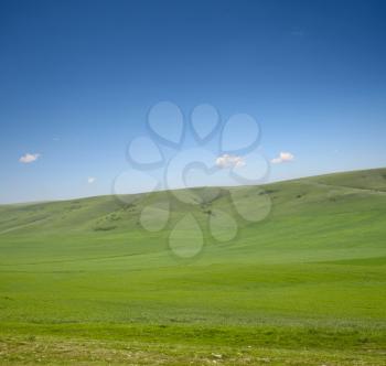 green grass meadow and blue sky landscape