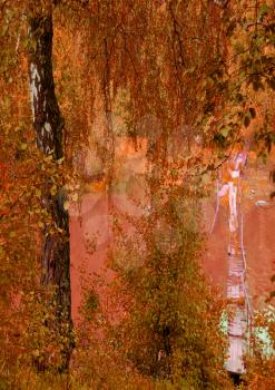 autumn landscape a birch at water
