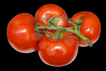 Ripe tomatoes on white background is insulated