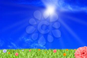 Blue sky and sun.Glade with flower and sun