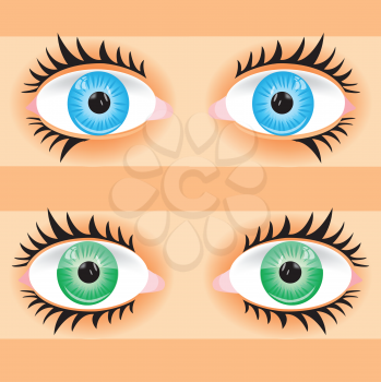 Vector illustration eye person.Eye of the person