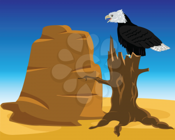 Wild landscape desert with eagle sitting on tree