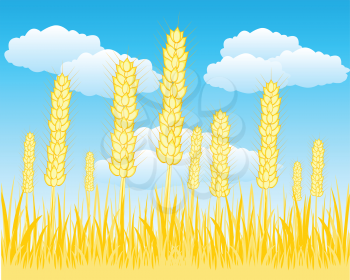 The Autumn field with ripe wheat.Vector illustration