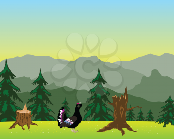 The Glade with flower in mountain high.Vector illustration