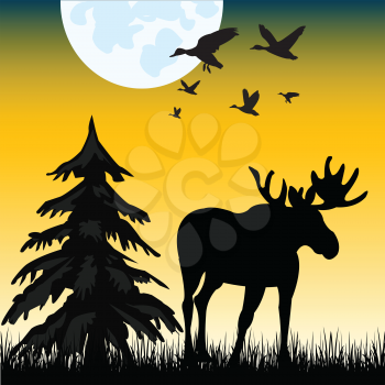 The Silhouette moose on glade in the night.Vector illustration