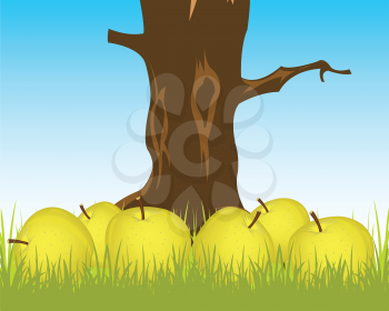 Much ripe apples tumbled to the land.Vector illustration