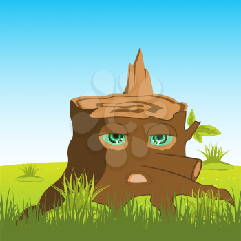 Alive stump tree with eye on background of the nature
