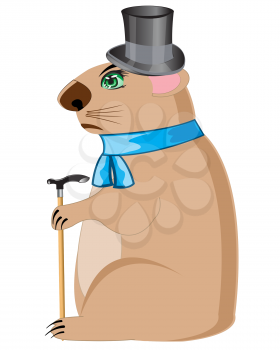 Cartoon of the woodchuck in hat and scarf on white background