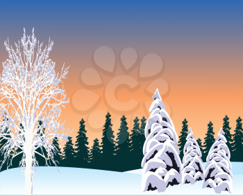 The Winter morning in in winter wood.Vector illustration