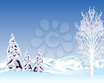 Vector illustration of the clean winter day on nature