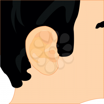 The Organ of the rumour of the person ear.Vector illustration