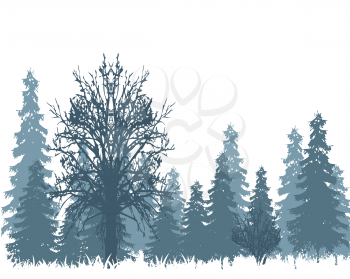 The Landscape winter wood and tree in snow.Vector illustration