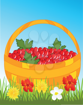 Full basket of the red berry on glade with flower