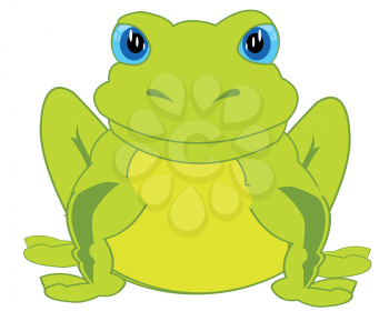 Amphibian toad on white background is insulated