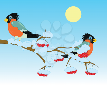 Winter branch of rowanberry with berry and birds bullfinch