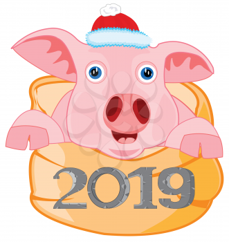 Symbol approaching new 2019 piglet peers out bag