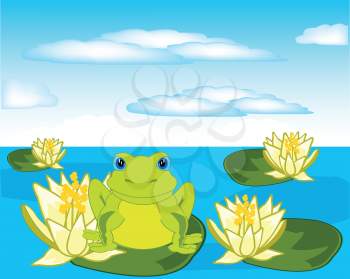 Vector illustration of the frog sitting on water lily