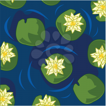 Flower of the water lily in water type overhand